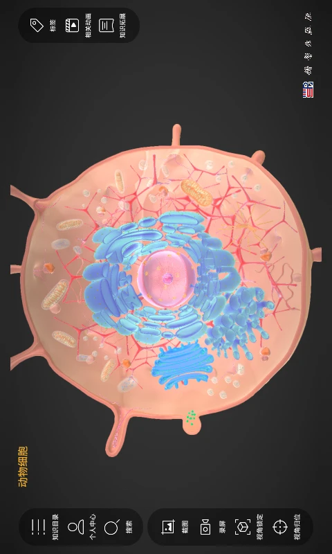 细胞生物学3D资源库系统图3