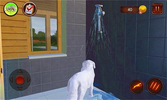 塔特拉牧羊犬模拟器2021图3