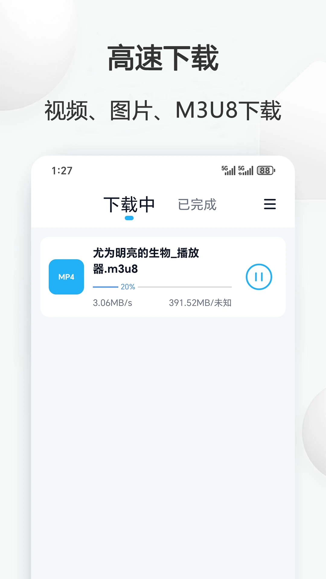 视频下载鸟图3