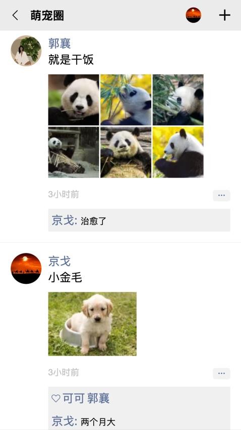队信图3