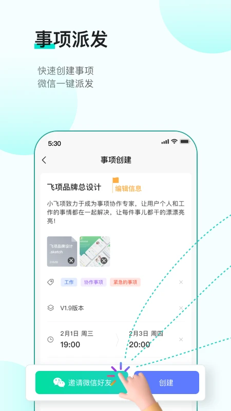 飞项图1