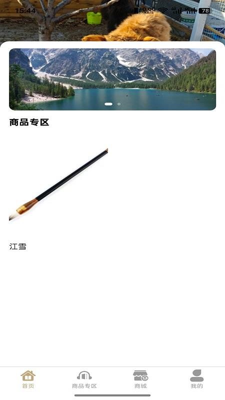 命运之书图3