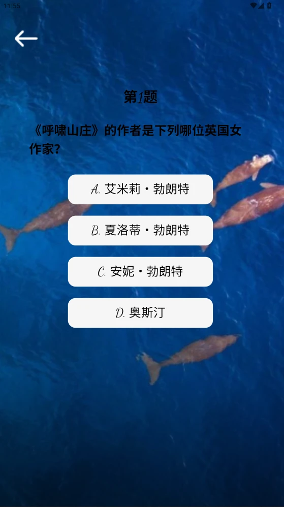 孝馨到家图4