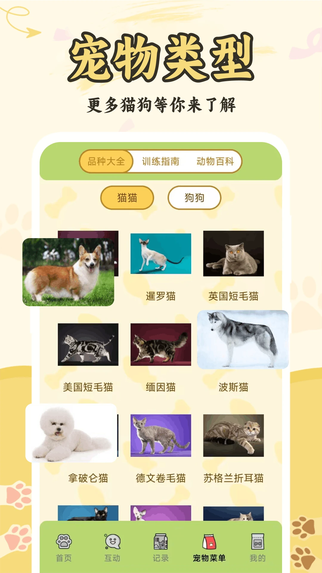 猫狗人交流翻译器 猫狗人交流翻译器