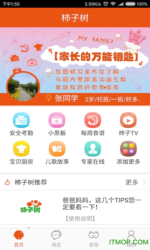 柿子树图1