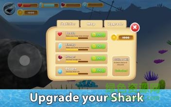 小格解说鲨鱼生存模拟器(Shark Simulator)图4