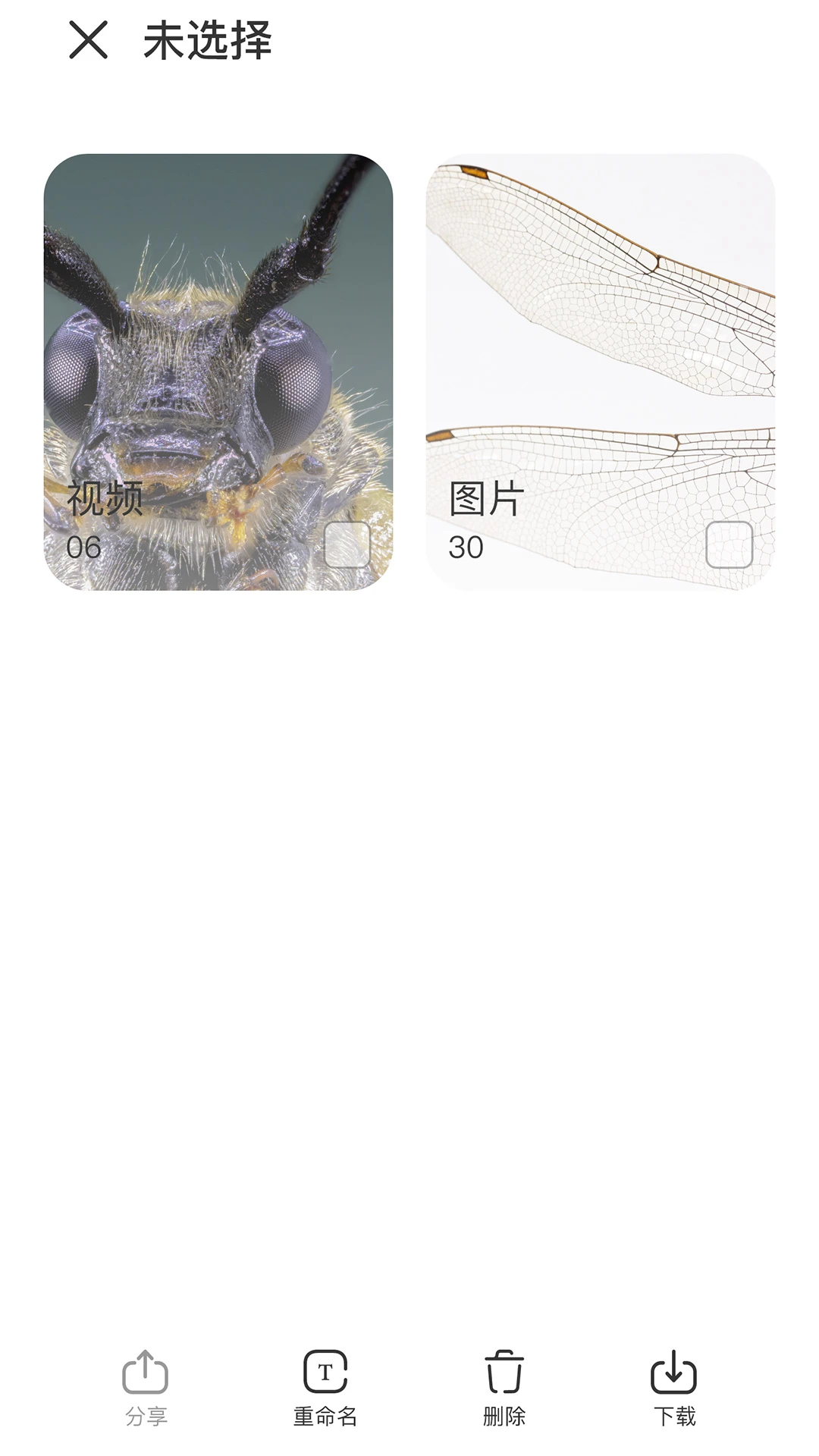 阿蛋科学探索图3