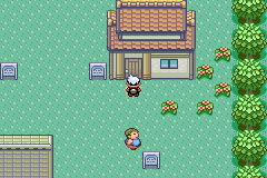 究极绿宝石3.0（原版）内置作弊图1