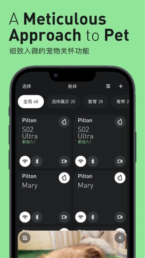 Pilton客户端图4