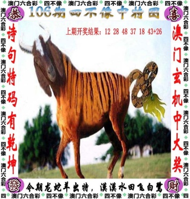 红姐彩色统一图库图2