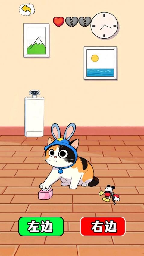 萝卜纸巾猫咪