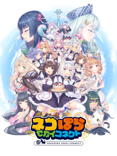 ネココネ安装器图1