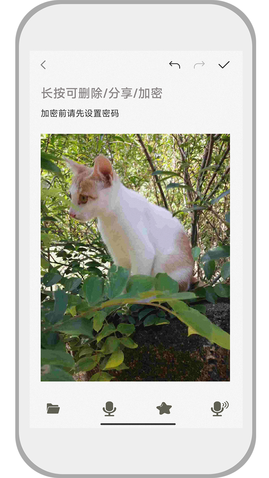 速记备忘录图3