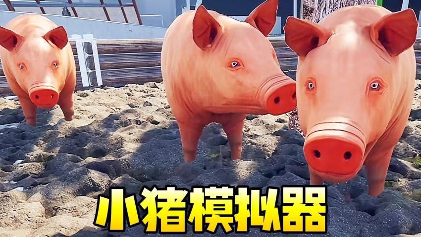 小猪模拟器1图1