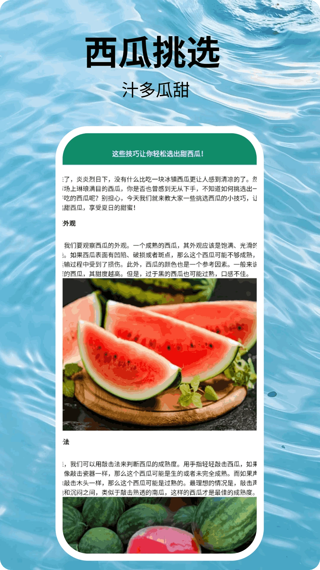 福运西瓜图4