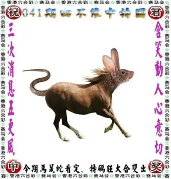正版免费资料