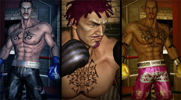 Punch Boxing安装器图3