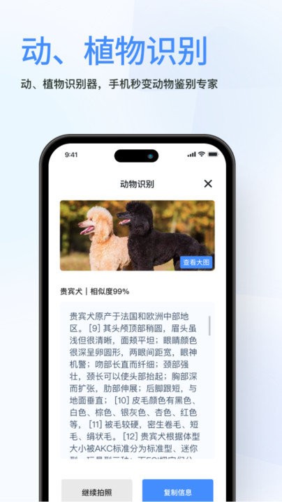 春枫扫描图4