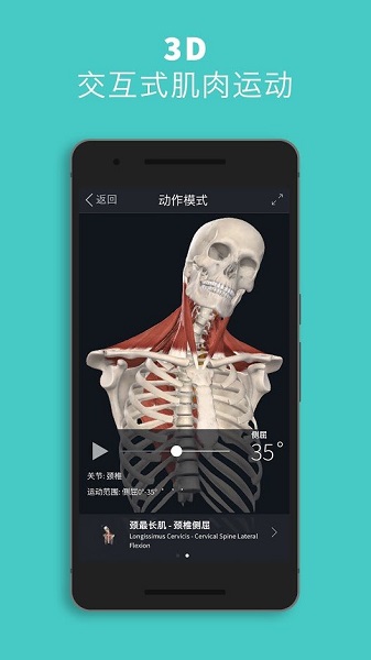 complete anatomy 2021汉化正式版