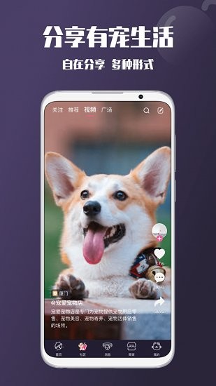憨憨图2