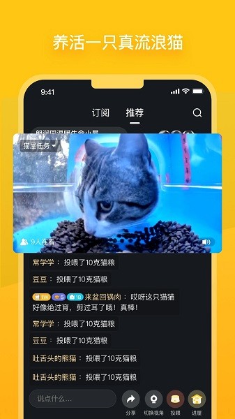 街猫图4