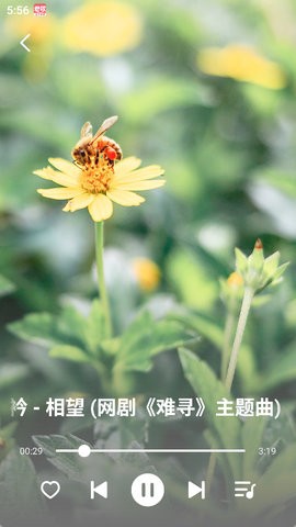老歌多多图2