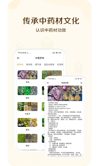 经络穴位指南图2