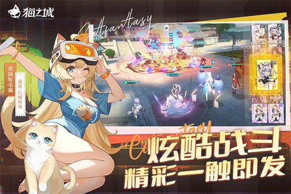 猫之城图4