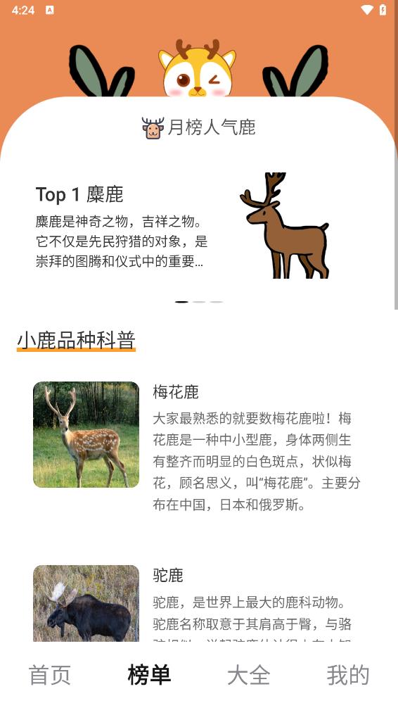 小鹿趣看图3