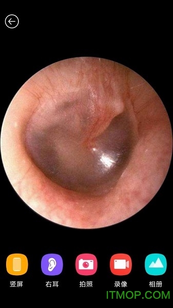 蜂鸟采耳appios图1