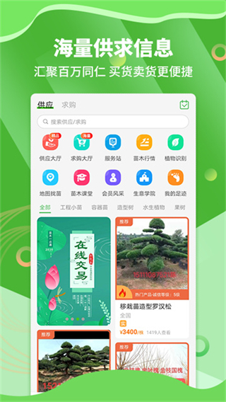 苗木通图1
