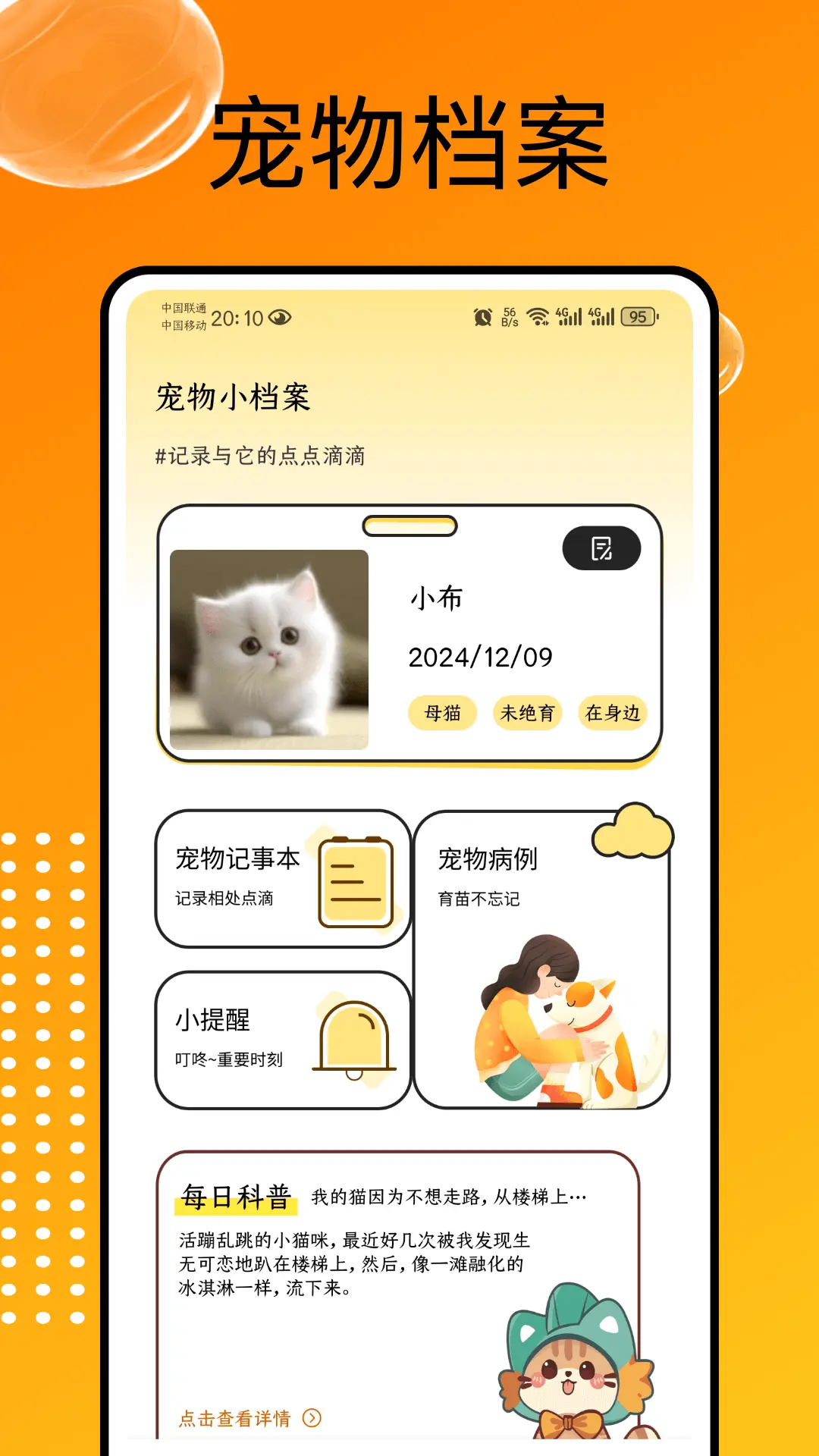 猫和图2