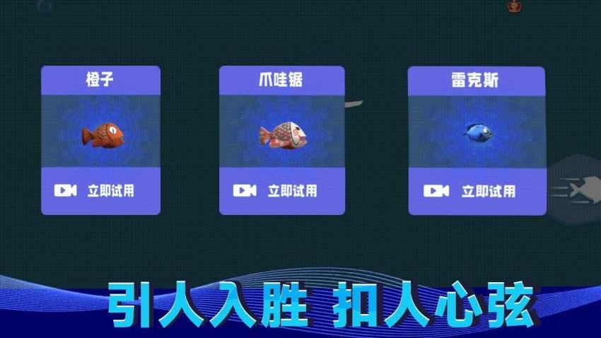 水上猫咪图4