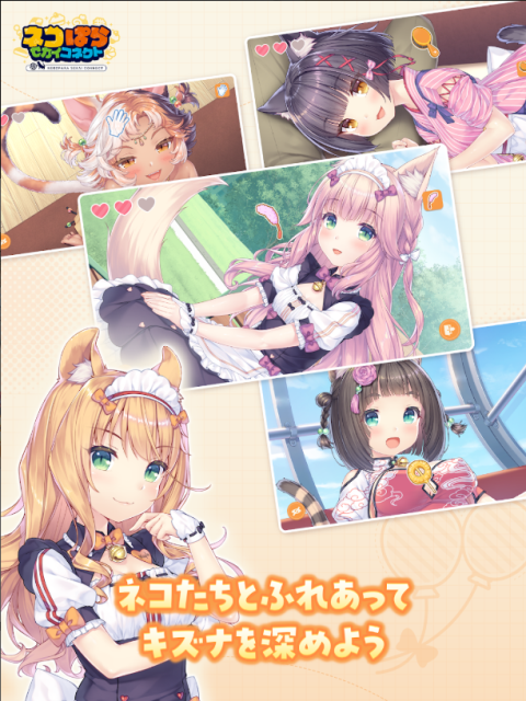 ネココネ安装器图3