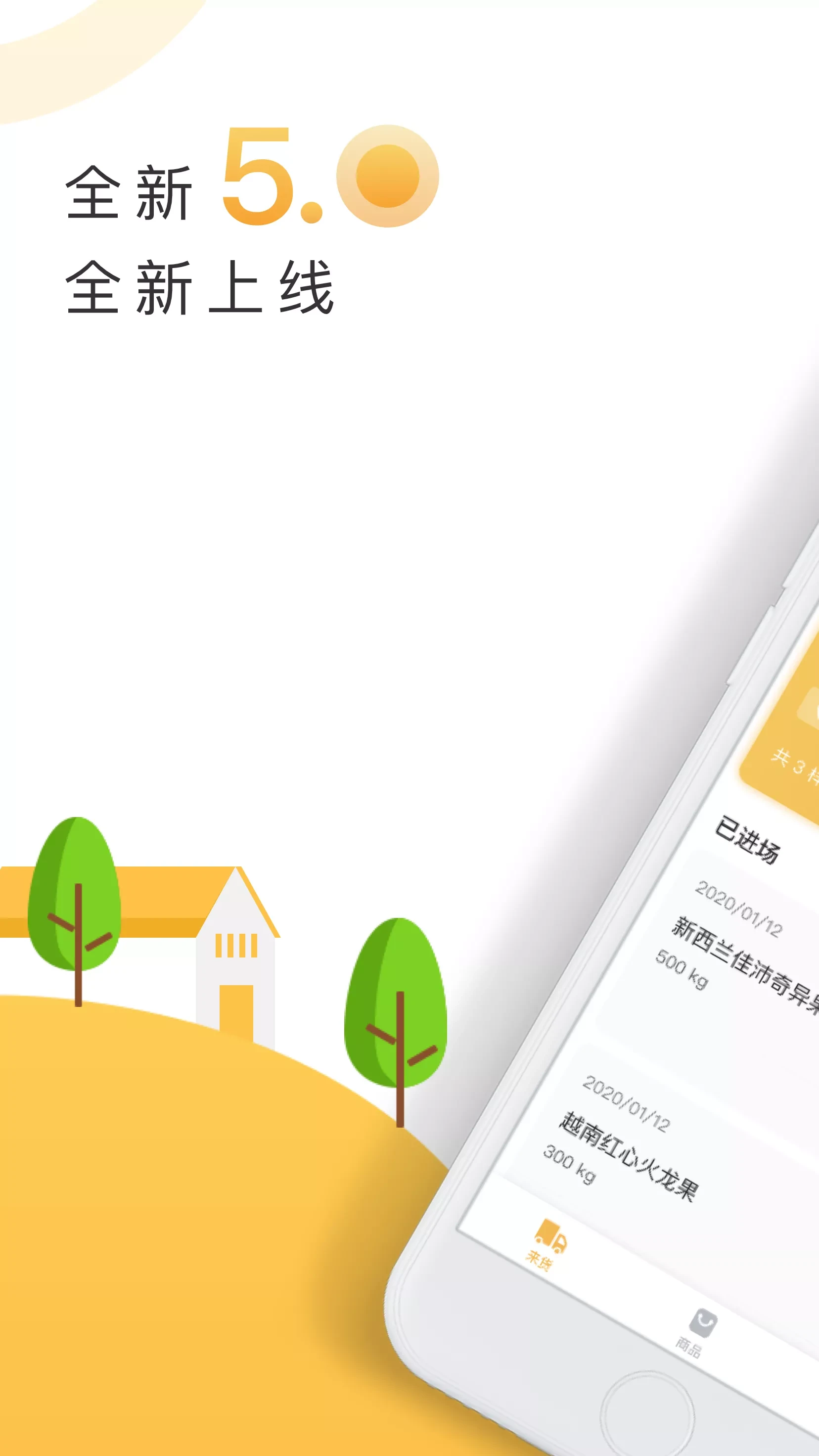 大白菜图1