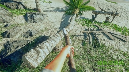 方舟之家：岛屿生存图2