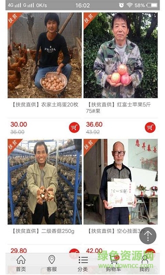 拔根子图3