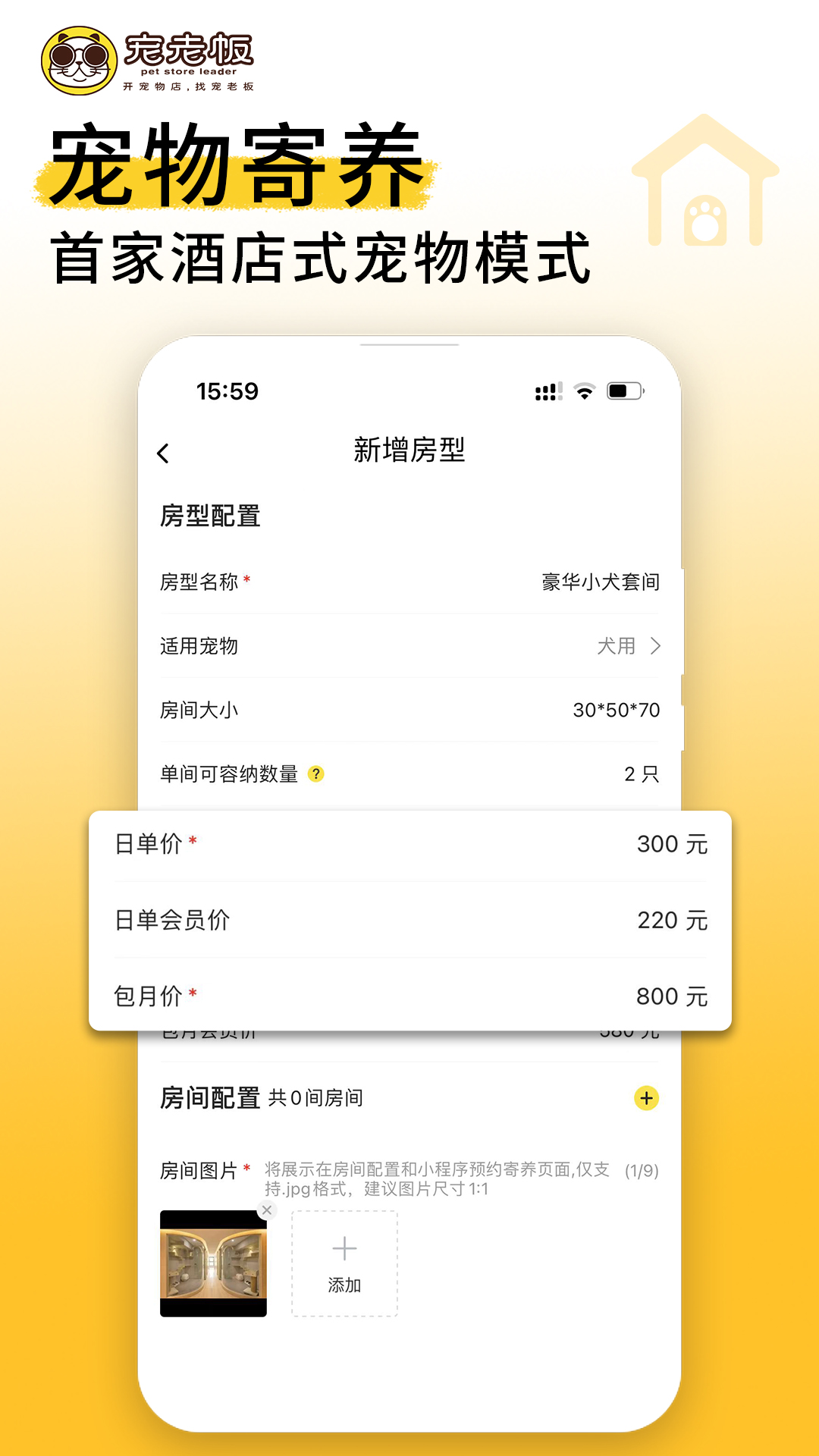 宠老板图5