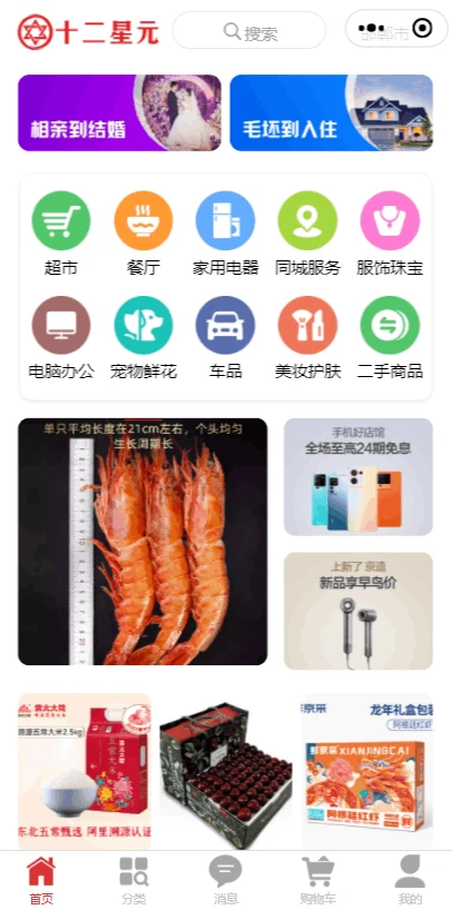 十二星元图1