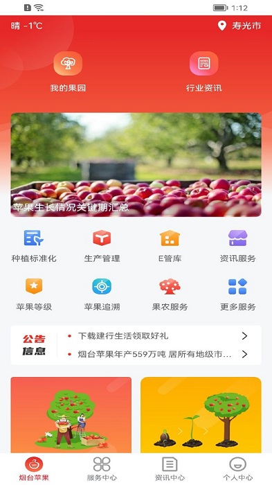 烟台苹果图1