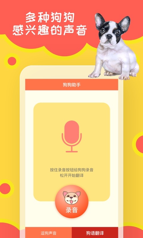狗狗助手图4