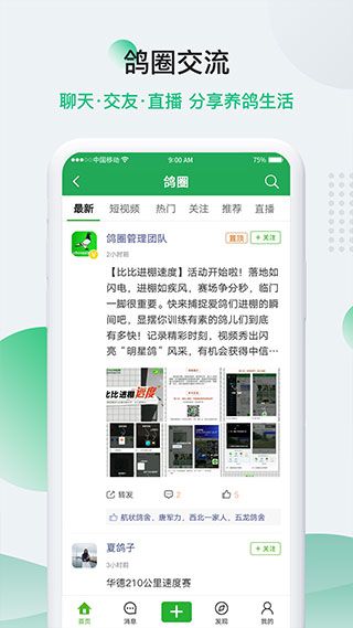 中信网-信鸽信息网