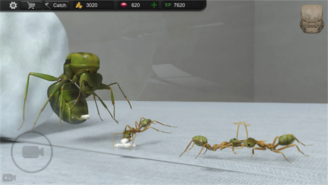 Ant Sim Tycoon安装器图1
