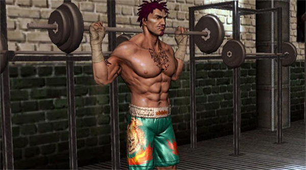 Punch Boxing安装器图1