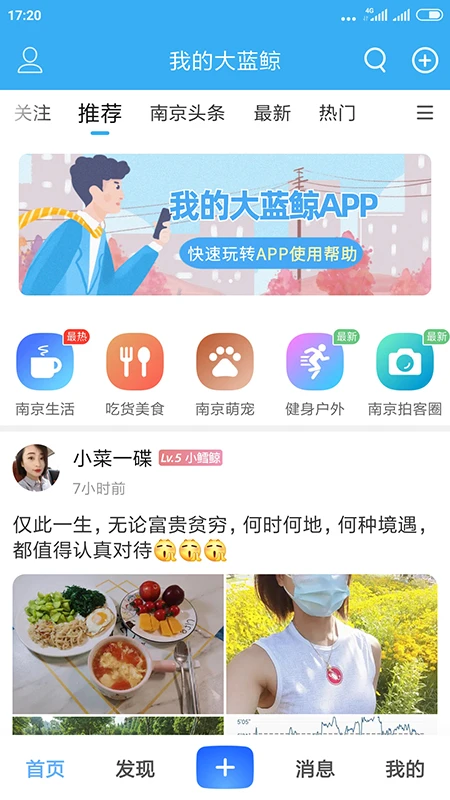 我的大蓝鲸 我的大蓝鲸