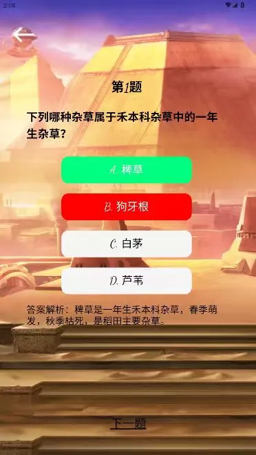 光影栈图3