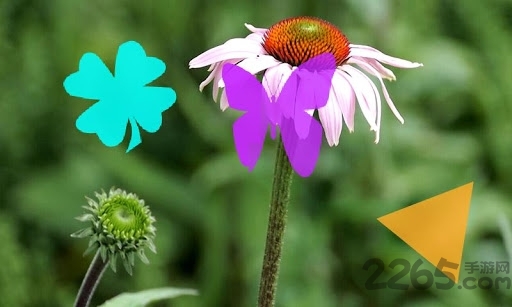 mxplayer视频播放器汉化版图1