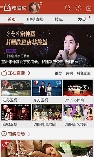 电视粉视频直播图1