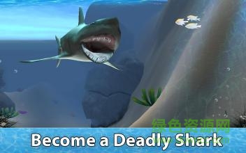 小格解说鲨鱼生存模拟器(Shark Simulator)图1