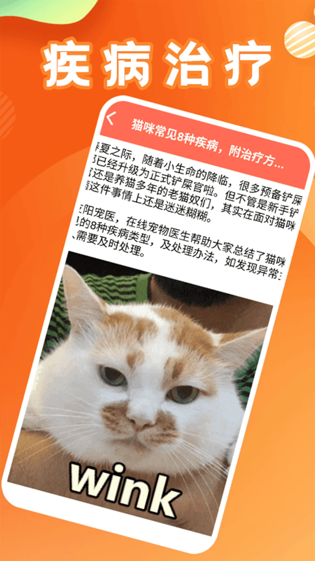 治愈猫咪2025